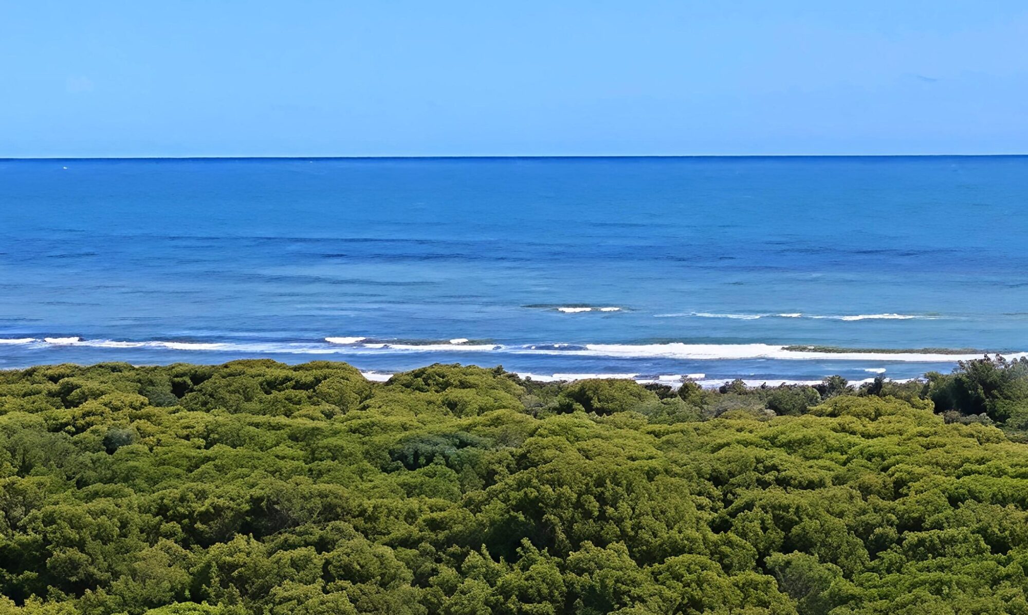 vista dall'alto della pineta davanti al mare dell'isola di varano, Cagnano Varano, Foggia
